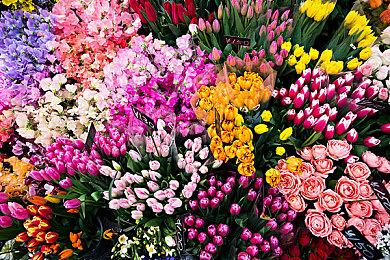 3DS和WiiU在线服务将于2024年4月上旬结束